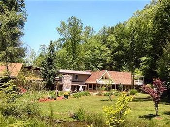 Rock Laurel Bed And Breakfast 캔들러 외부 사진